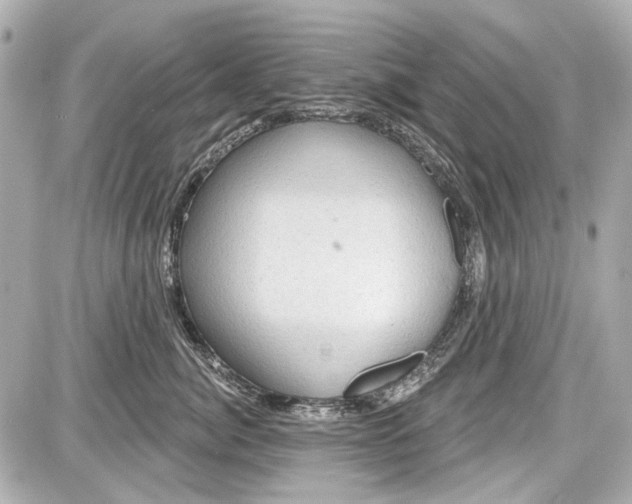 X0000087590764200705112303