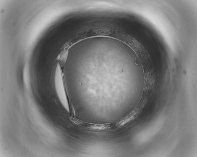 X0000087590765200705112303