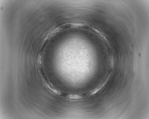 X0000087590766200705112303