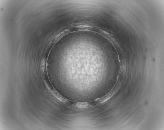 X0000087590767200705112303