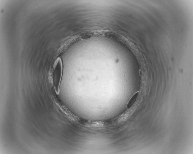 X0000087590768200705112303