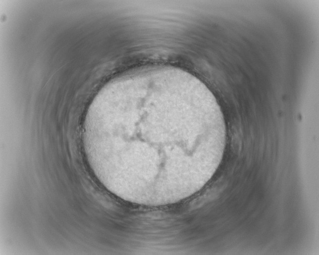 X0000087590769200705112302