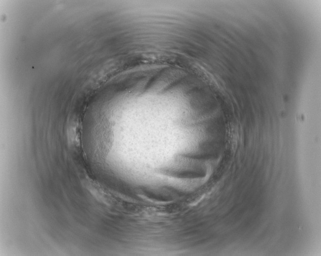 X0000087590770200705112302