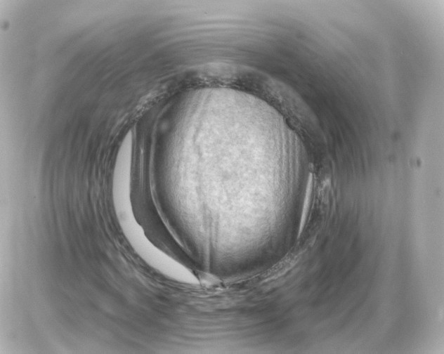 X0000087590772200705112302