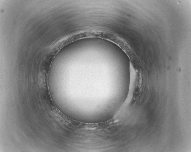 X0000087590773200705112302