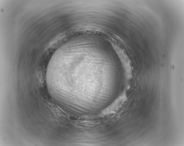 X0000087590774200705112302