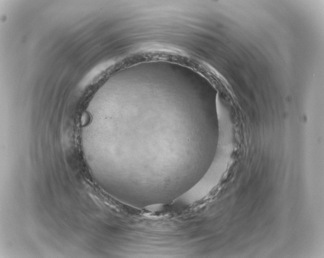 X0000087590775200705112302