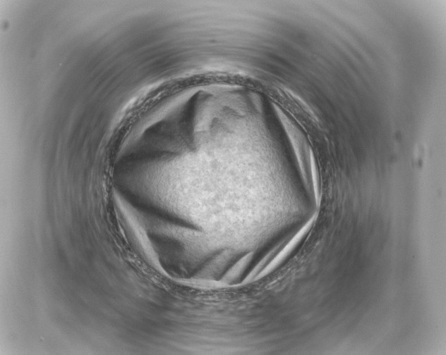 X0000087590776200705112302