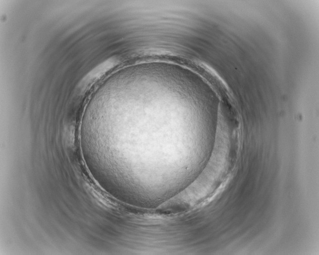 X0000087590777200705112302