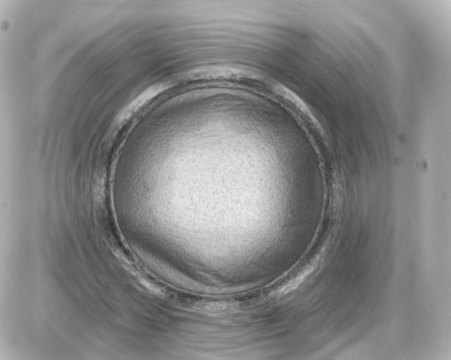 X0000087590778200705112302