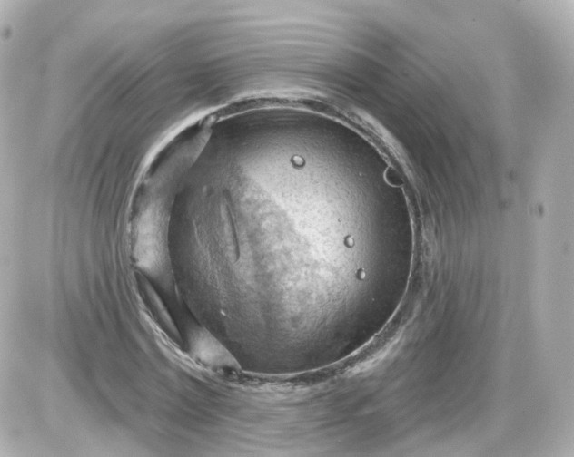 X0000087590779200705112302