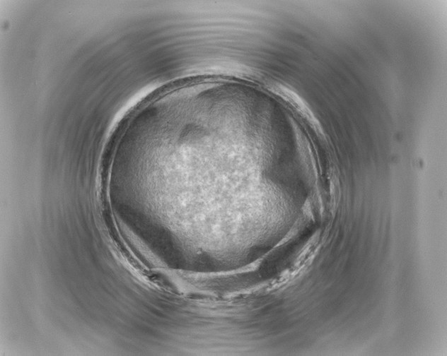 X0000087590780200705112302