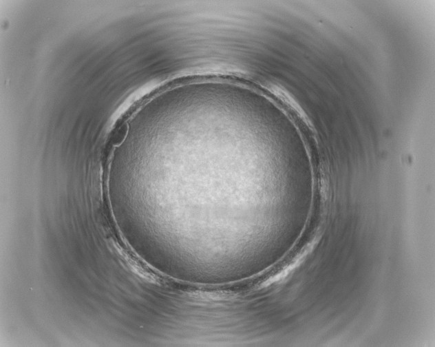 X0000087590781200705112302