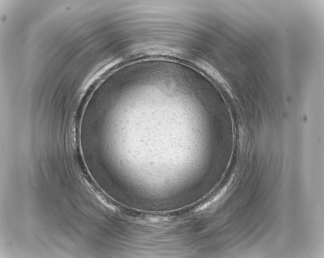 X0000087590782200705112302