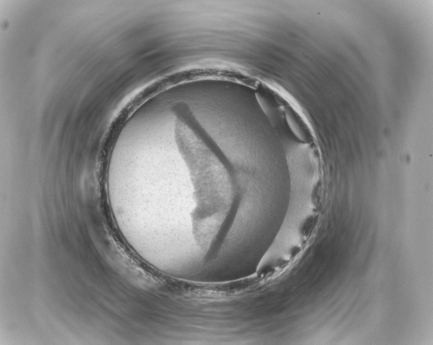 X0000087590783200705112302