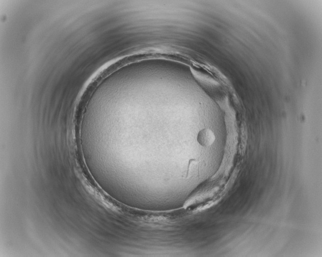 X0000087590784200705112302