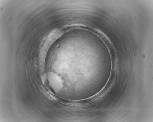 X0000087590785200705112302