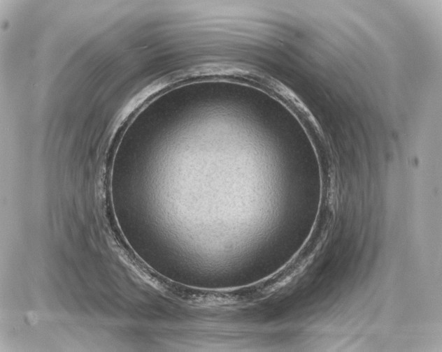 X0000087590786200705112302