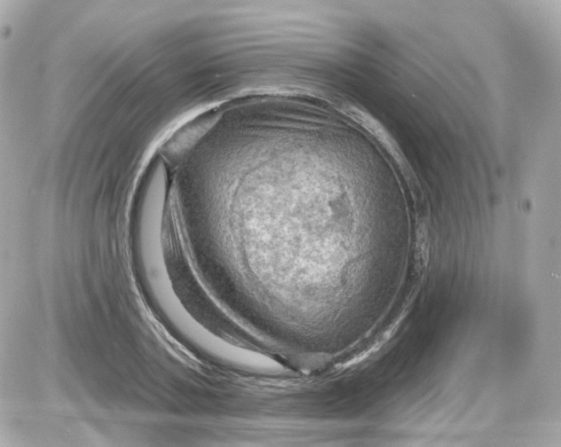 X0000087590787200705112302