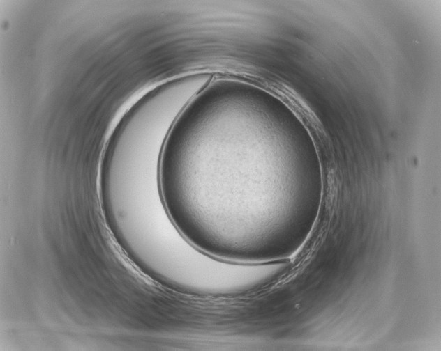 X0000087590788200705112302