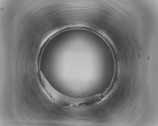 X0000087590789200705112302