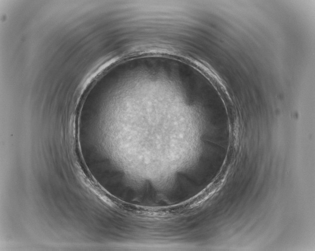 X0000087590790200705112302