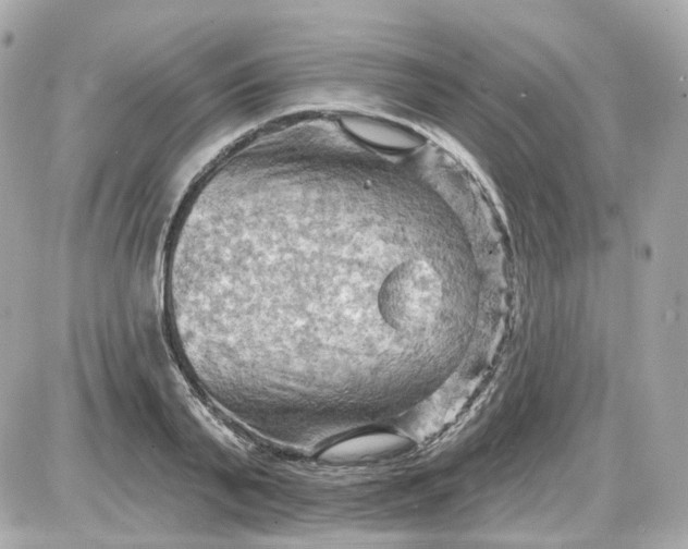 X0000087590791200705112302