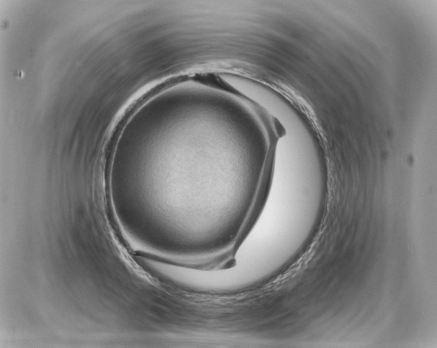 X0000087590792200705112302