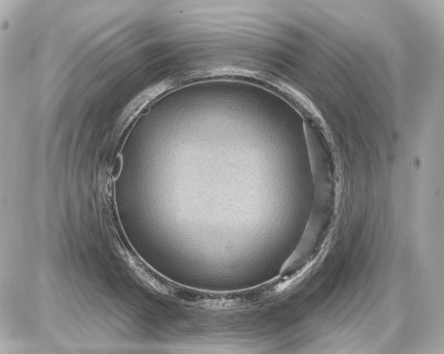 X0000087590793200705112302