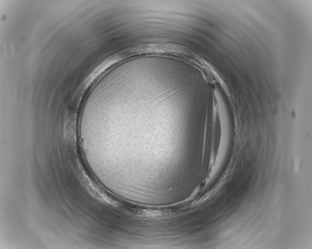 X0000087590794200705112302