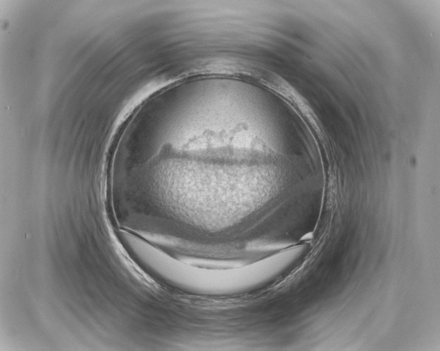 X0000087590795200705112302