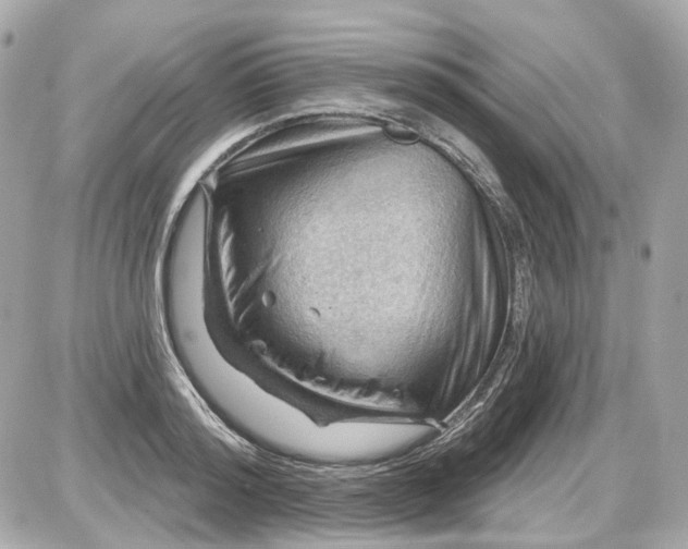 X0000087590796200705112302