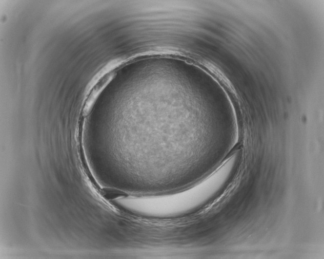 X0000087590797200705112302