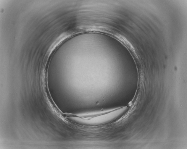 X0000087590798200705112302