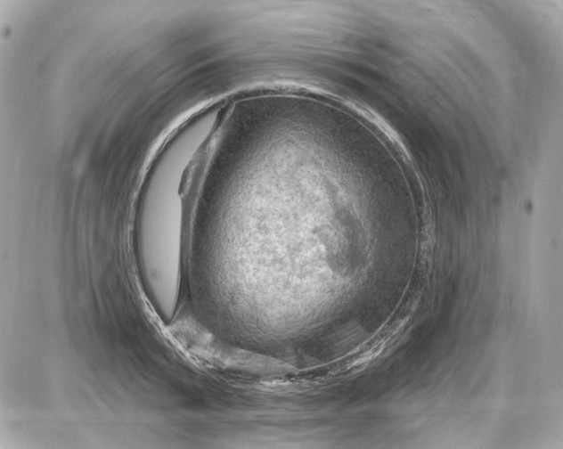 X0000087590799200705112302