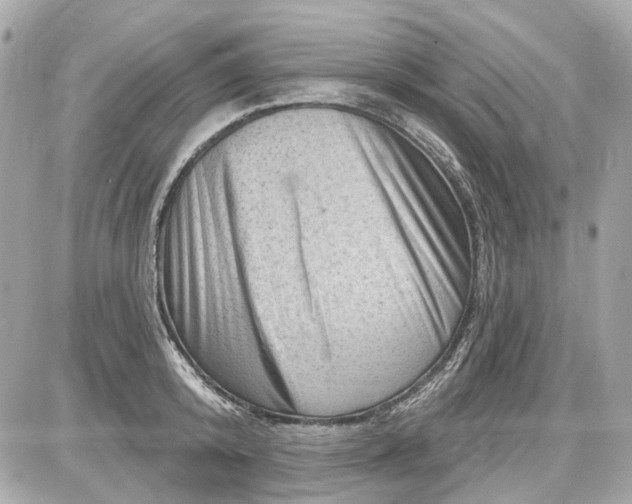 X0000087590800200705112302