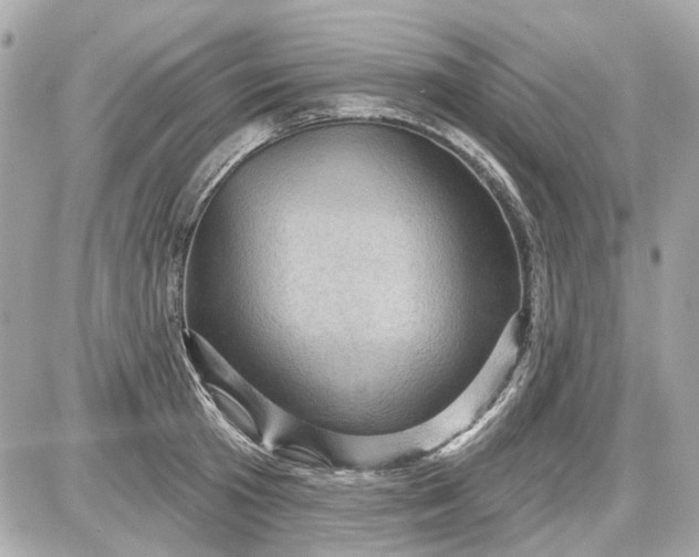 X0000087590801200705112302