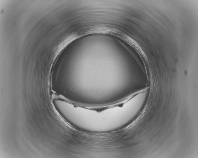 X0000087590802200705112302