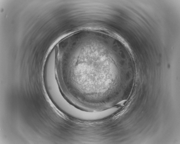 X0000087590803200705112302