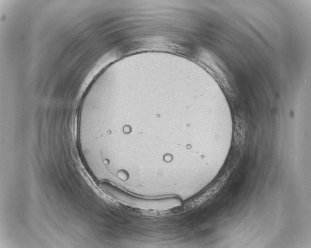 X0000087590804200705112302