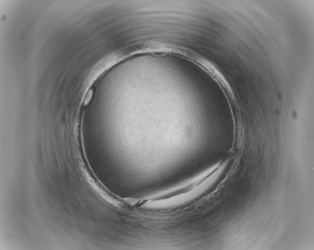 X0000087590805200705112302