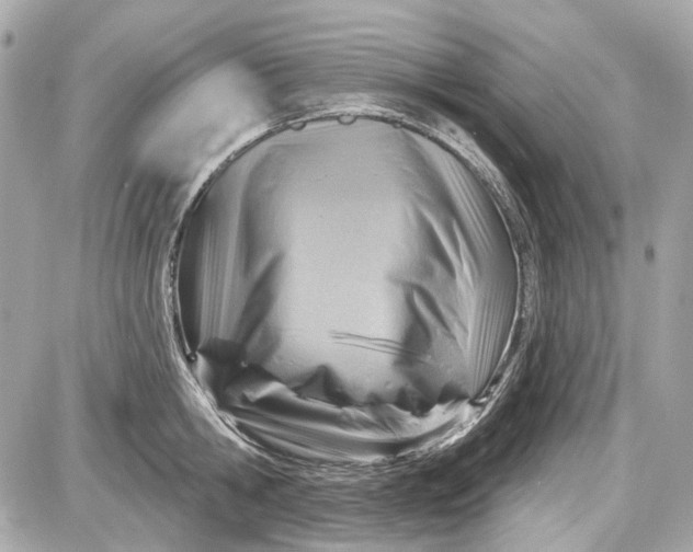 X0000087590806200705112302