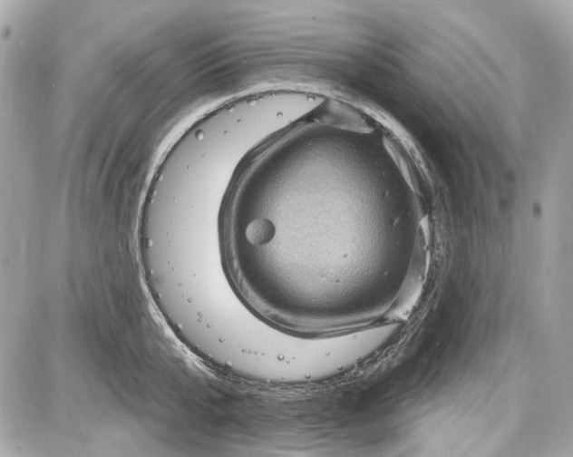 X0000087590807200705112302