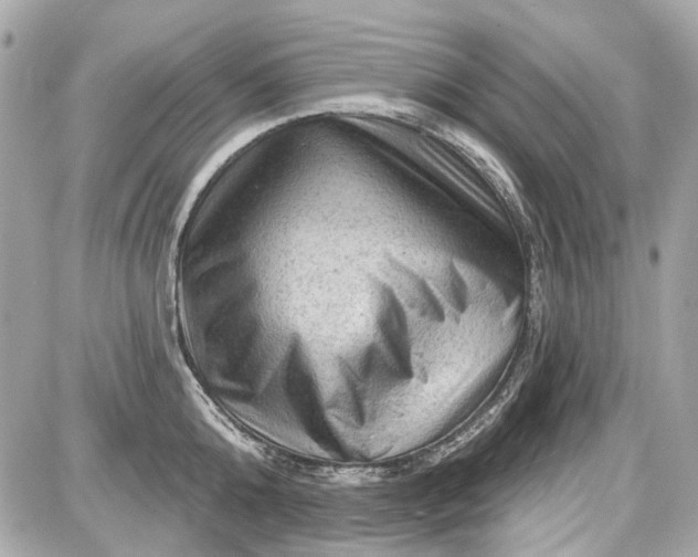 X0000087590808200705112302