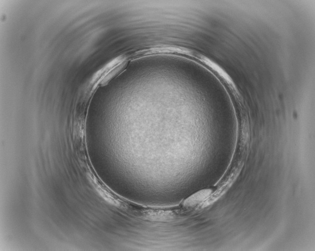 X0000087590809200705112302