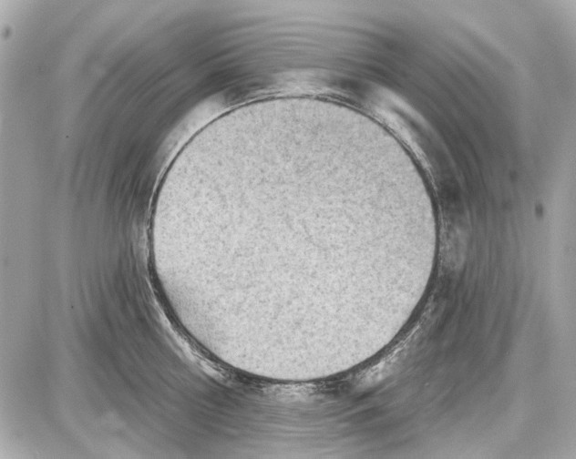 X0000087590810200705112302