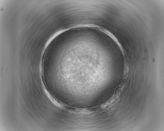 X0000087590811200705112301