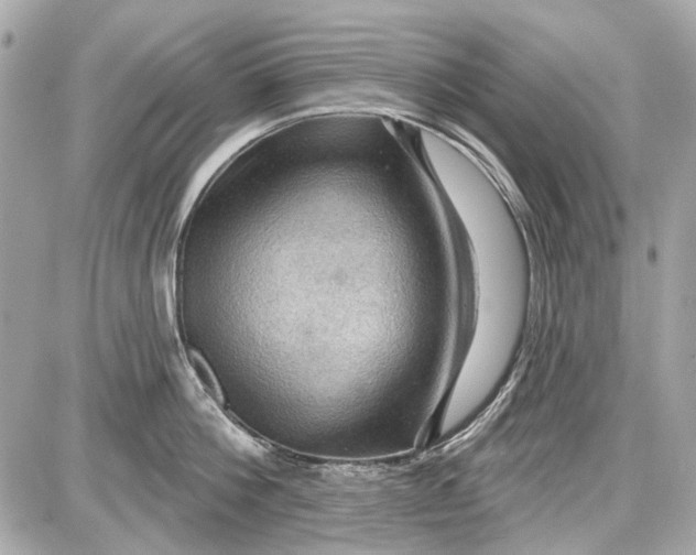 X0000087590812200705112301