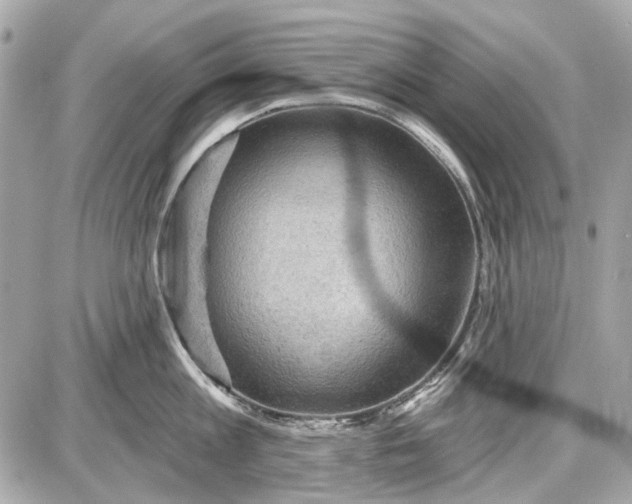 X0000087590813200705112301