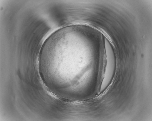 X0000087590814200705112301